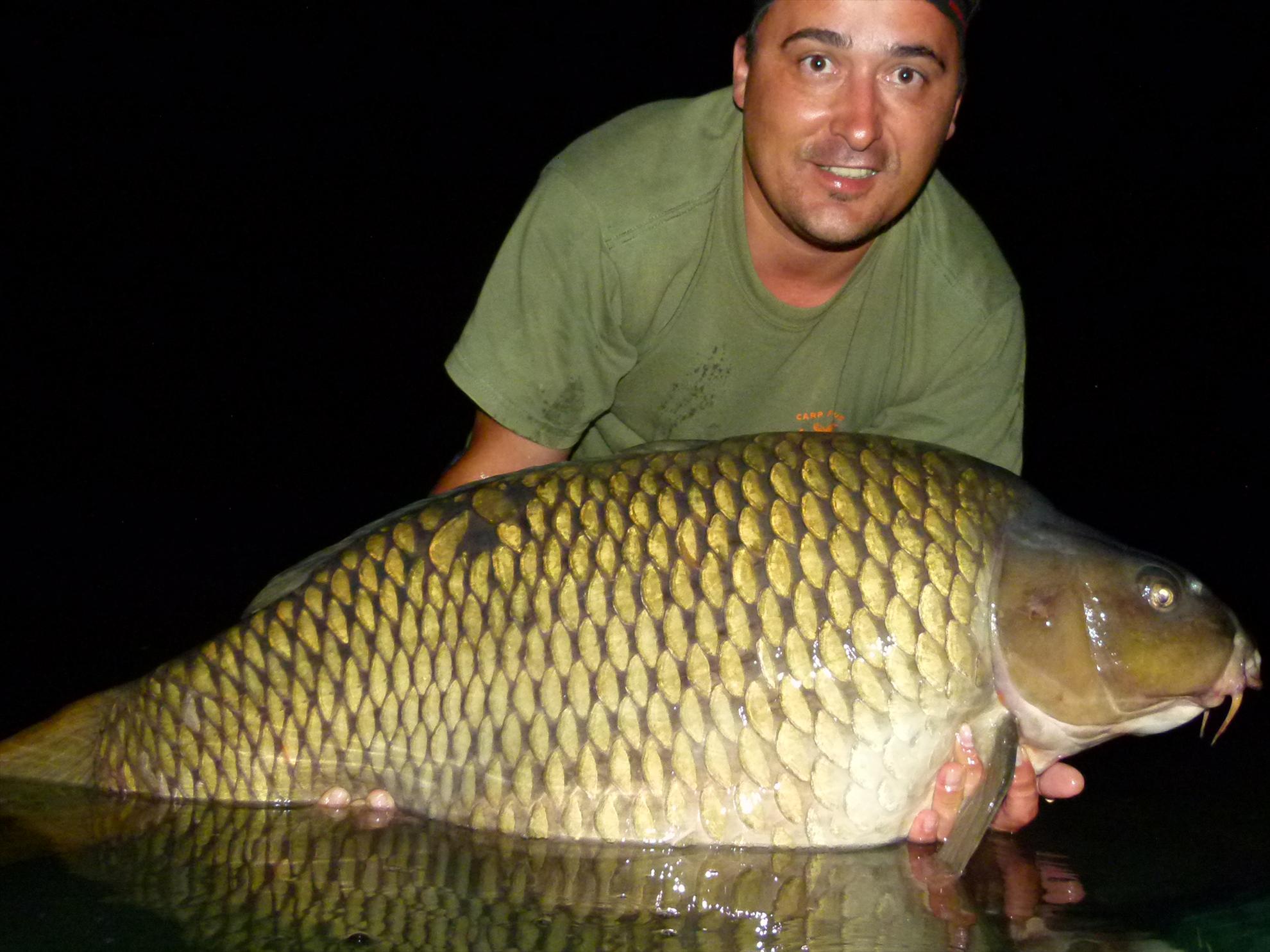 PDB 2013 - 21,500 kg